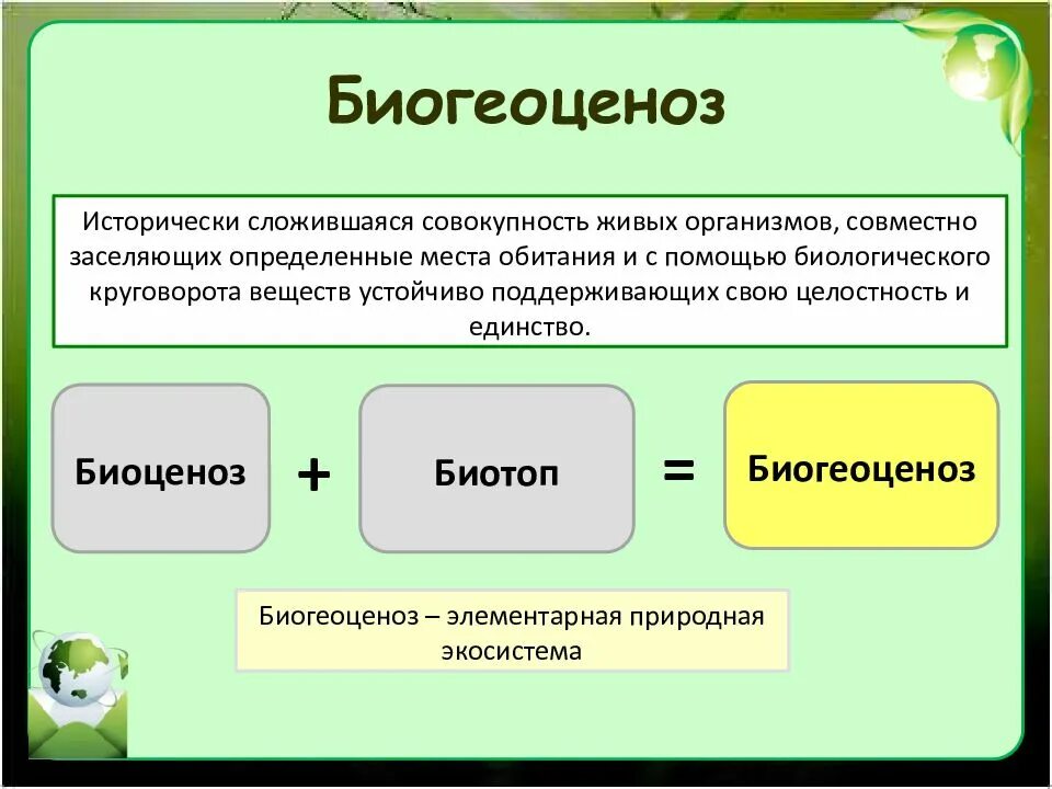 Биогеоценоз. Биогеоценоз это в экологии. Экосистема и биогеоценоз. Биогеоценоз определение структура.