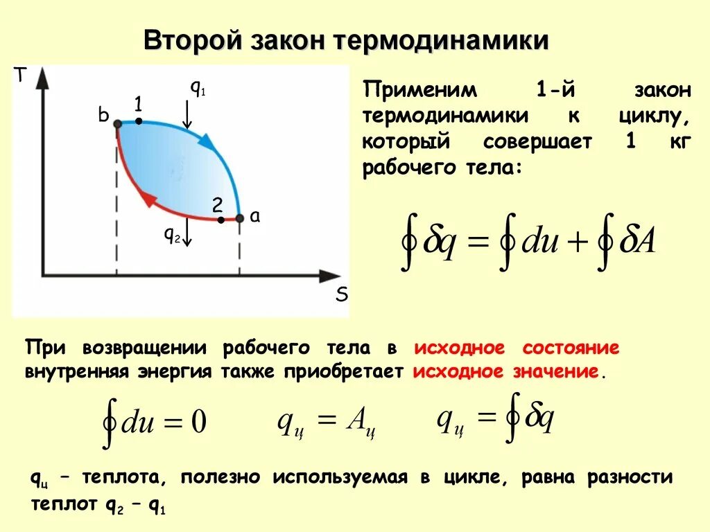 Циклы внутреннего времени. Термодинамические циклы. техническая работа в термодинамике. термодинамические процессы и циклы. понятие работы в термодинамике.