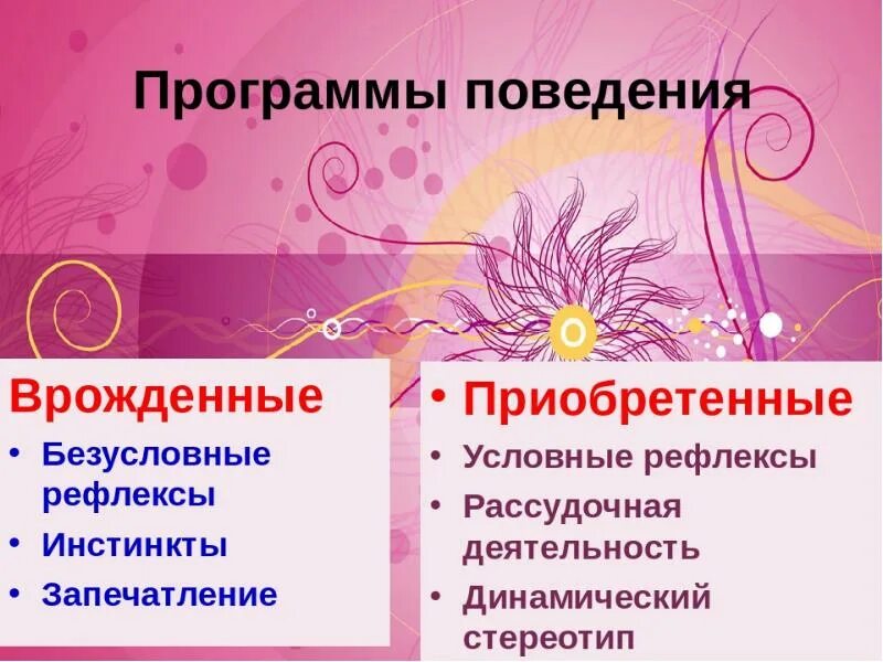 Врожденные формы поведения 8. Врожденные программы поведения. Приобретенные программы поведения. Врожденные и приобретенные программы поведения. Врожденные и приобретенные формы поведения.