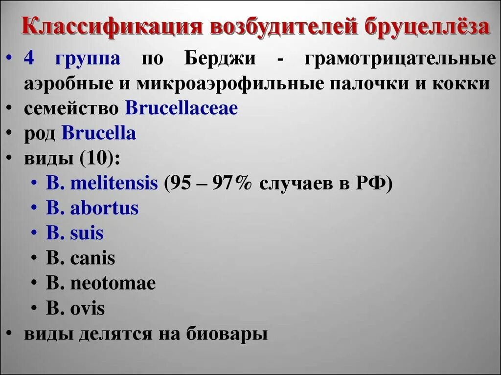 Систематика возбудителя. 1 группа по берджи. Систематика возбудителя. Систематика. Возбудитель бруцеллеза классификация.
