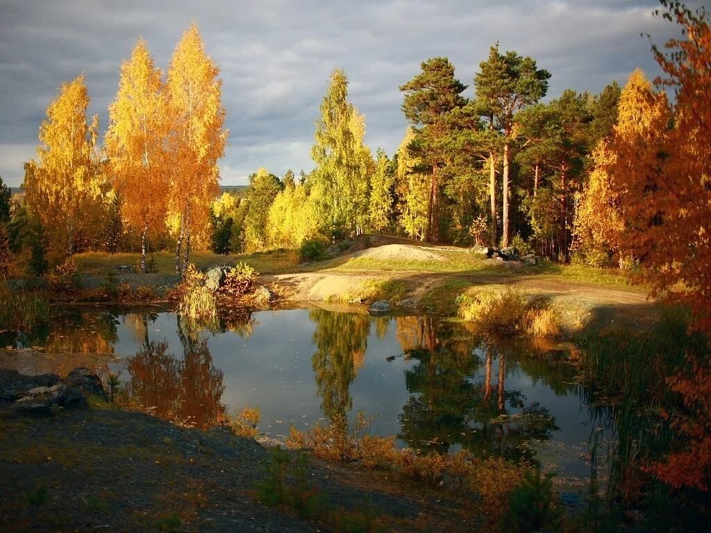 Золотой пейзаж. Фотопейзажи Владимира Рябкова. Осенние фотопейзажи России. Золотая осень. Пейзаж осени.