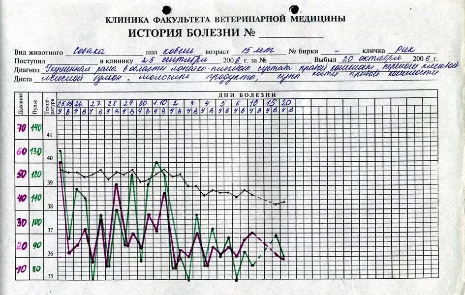 Картинки ТЕМПЕРАТУРНЫЙ ЛИСТ ПРИМЕР