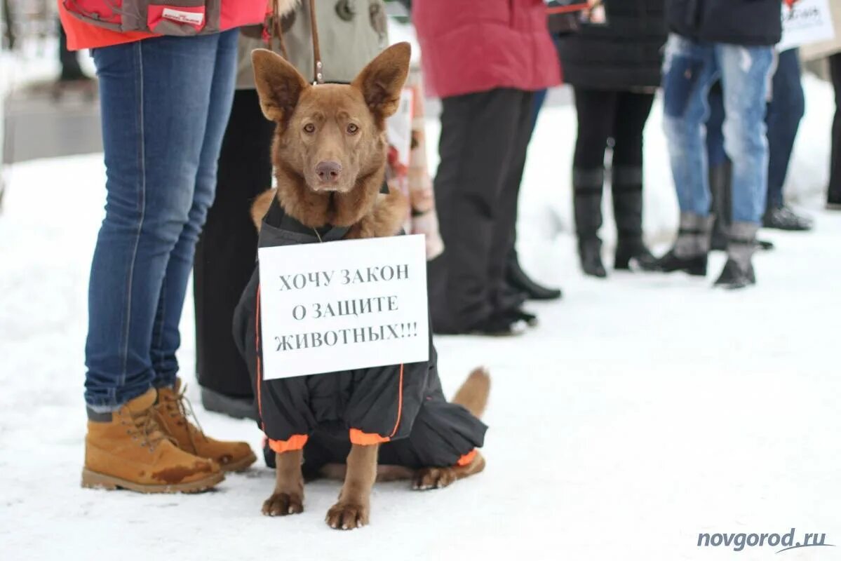 Жизнь группа помощи бездомным