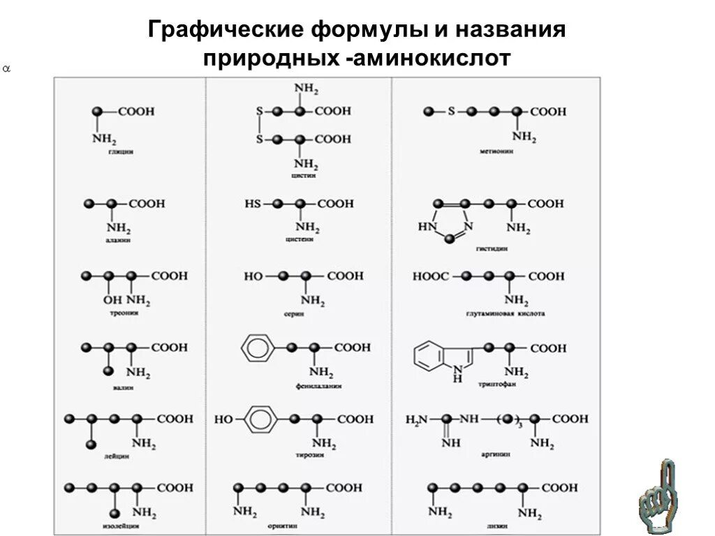 Аминокислоты формулы и названия таблица Полное название аминокислот в таблице Telegraph