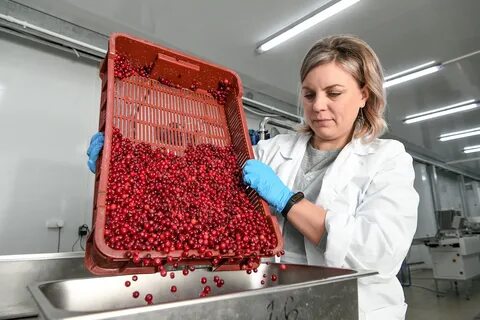 Производители мармелада