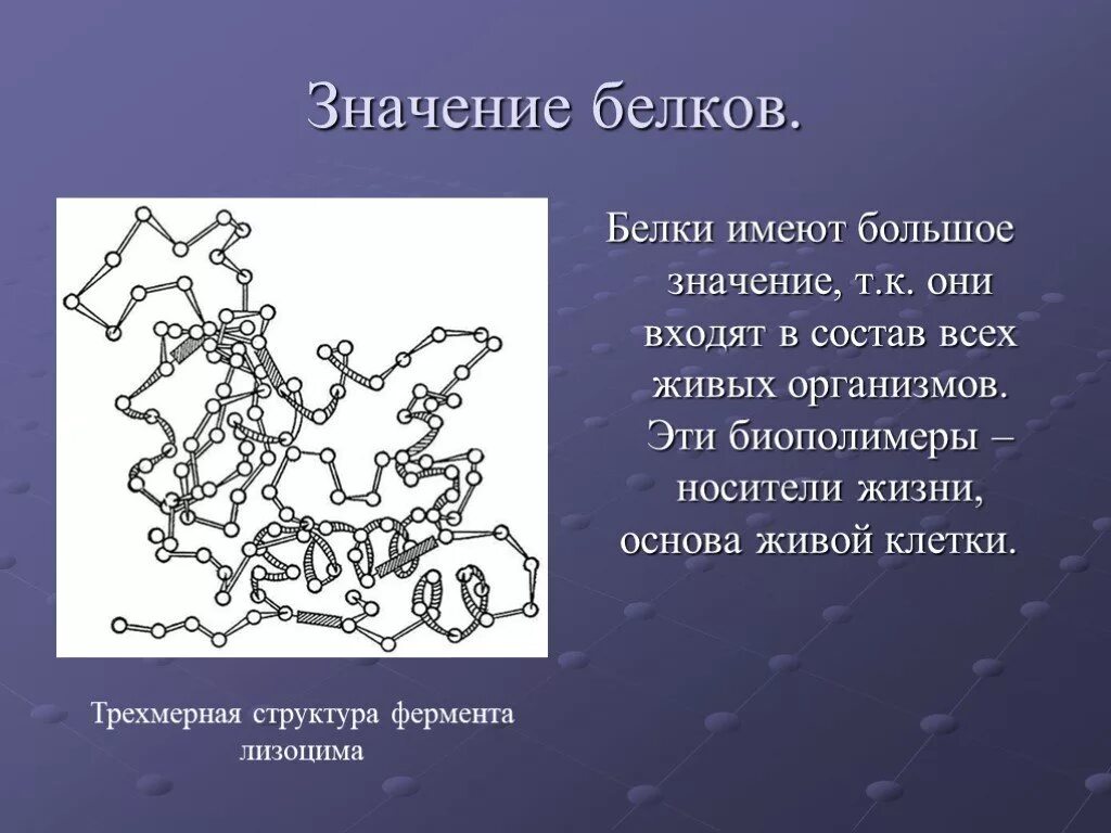 Состав и значение белков. Значение белков для живых организмов. Какое значение для организма имеют белки. Значение белка. Значение белка в живых организмах.