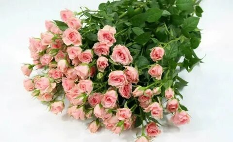 3 маленькие розы