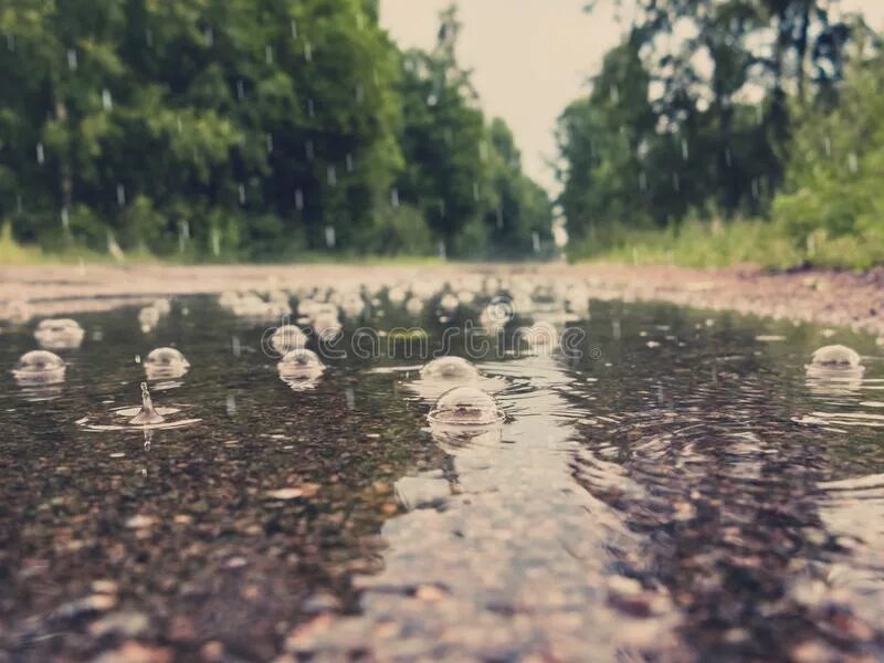 Пузыри на лужах во время. Пузыри на лужах. Дождевая вода. Пузыри на лужах. Пузырьки на луже.