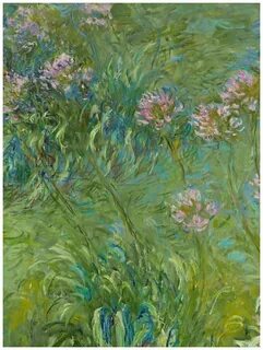 Claude monet agapanthus