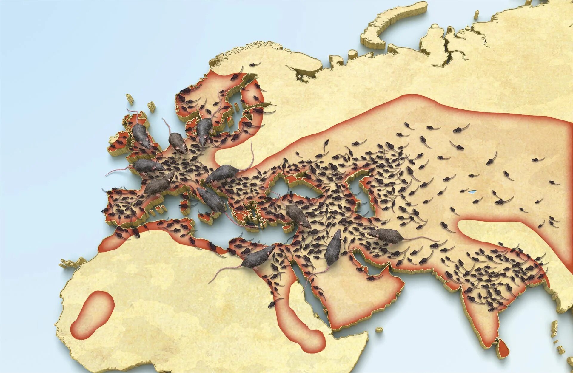 Карта распространения черной смерти в европе. Распространение чумы в европе. Распространение чумы. Карта распространения чумы. 1346-1353 год чёрная смерть.