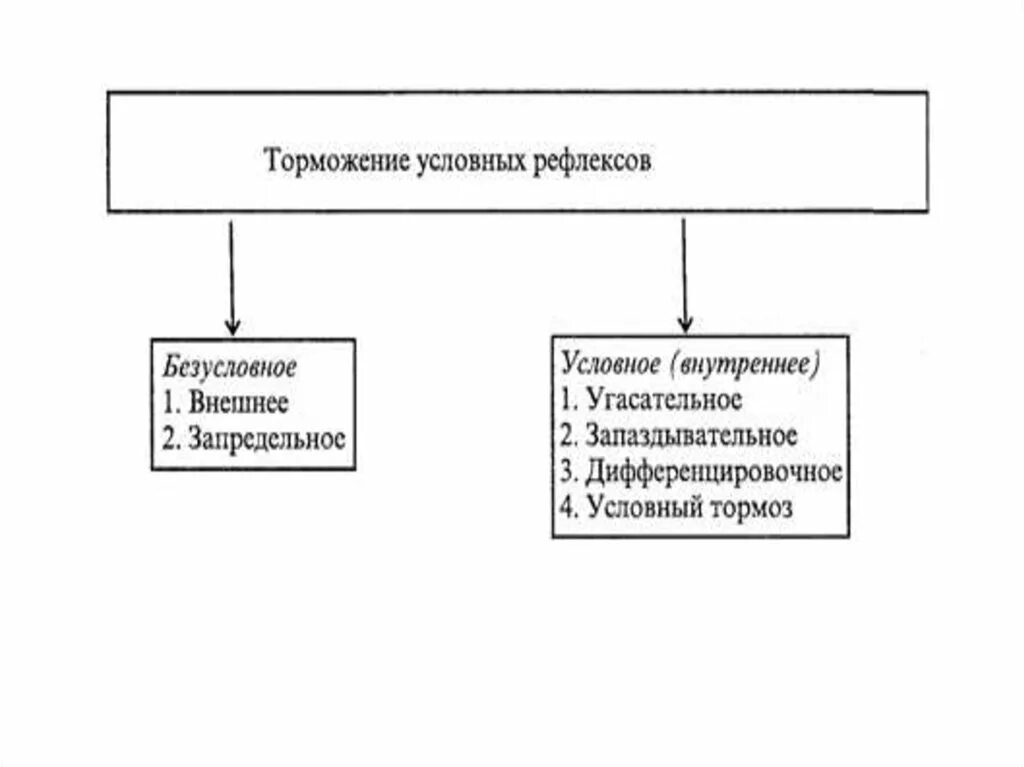 Торможение условных рефлексов схема. Виды внешнего торможения условных рефлексов. Пример внутреннего торможения условных рефлексов. Торможение условных рефлексов таблица.