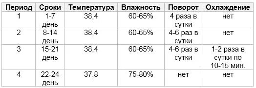 Сколько инкубируются яйца. Инкубация яиц фазана таблица. Срок инкубации фазаньих яиц. Режим инкубации фазанов. Инкубация фазанов яиц режим инкубации таблица.