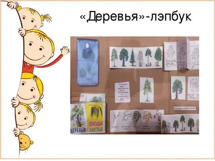 Лэпбук плоды и семена