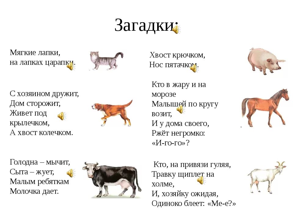 1 загадка про животных. Загадки про домашних животных для детей 5-6. Загадки про домашних животных для дошкольников с ответами. Загадки про животных для дошкольников 4-5. Загадки домашние животные для детей 4-5 лет.