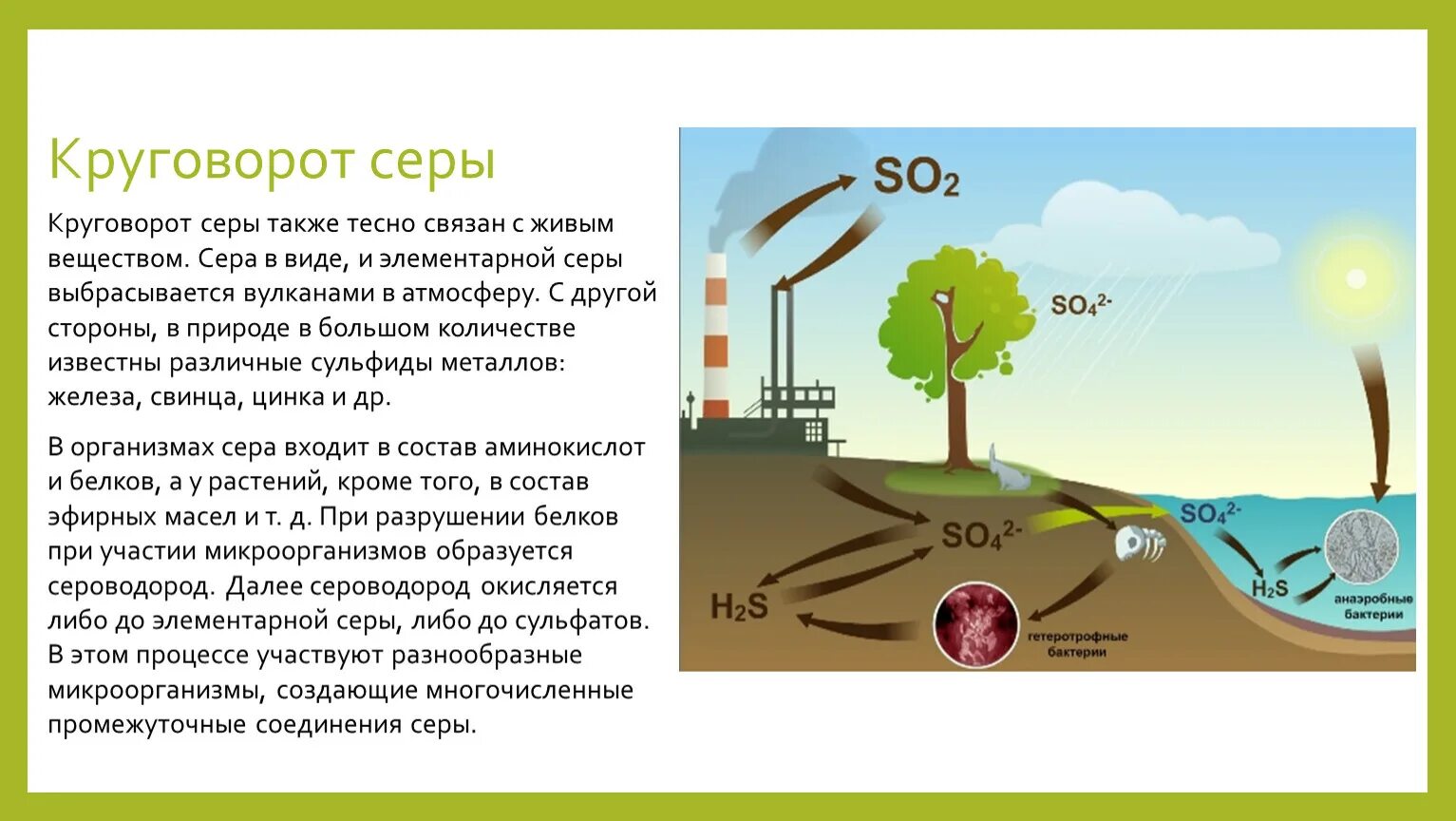 Роль микроорганизмов в круговороте серы. Круговорот веществ серы схема. Сера круговорот в природе. Круговорот веществ в природе сера биология. Круговорот веществ серы в биосфере.