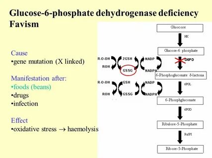 Объясните значение тэ и производящих основ haemolysis