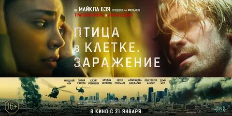 Птицы заражение