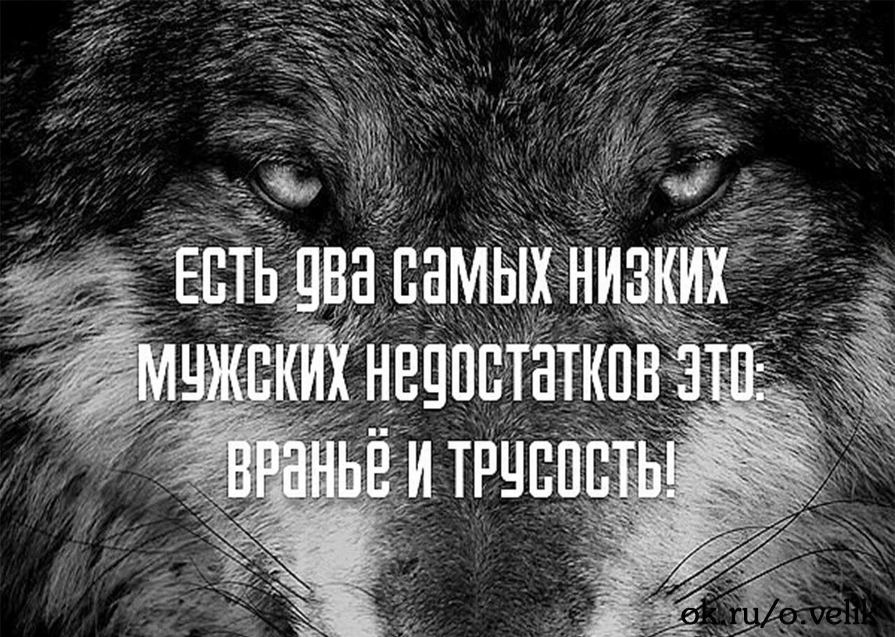 Вранье мужа. Трусость цитаты. Трус цитаты. Высказывания о трусости. Высказывания про трусость мужчин.