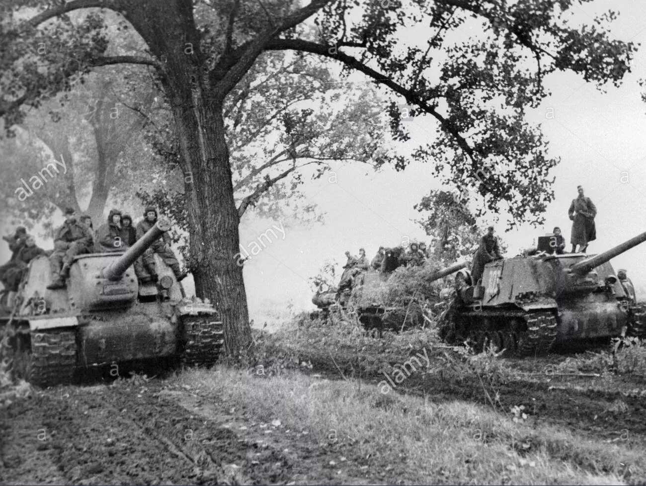 Осень 1944 года. Освобождение Венгрии 1944. Будапешт 1944 немецкие танки. Бои в Венгрии 1944 PZ-4. Осень 1944 года, Венгрия.