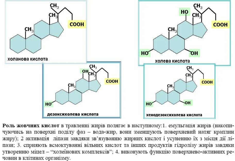 Дезоксихолевая кислота формула структурная. Дезоксихолевая кислота инструкция. Холевая и хенодезоксихолевая кислоты. Формула дезоксихолевой кислоты. Урсосан форте 500 мг.