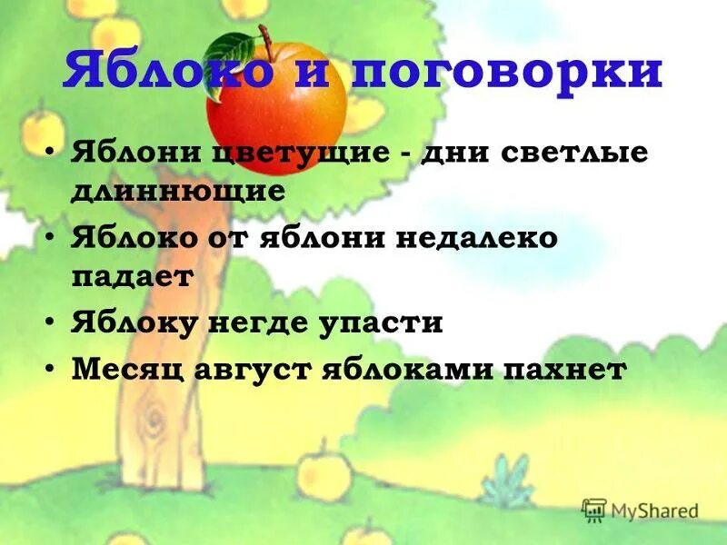 Пословица дерево в плодах. Пословицы и поговорки о яблоках. Поговорки про яблоки. Пословицы про яблоки для детей. Пословицы про пословицы про яблоко.