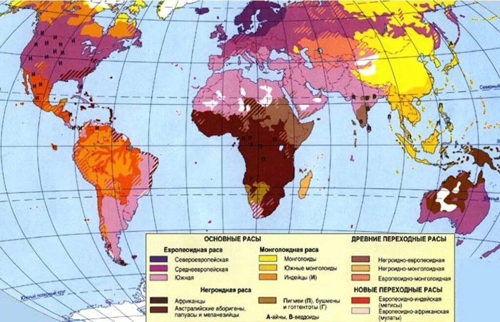 Ареалы распространения человеческих рас. Монголоидная раса карта расселения. Карта распространения рас на земле. Карта человеческих рас. Ареал распространения монголоидной расы.