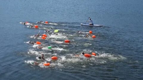 Заплыв на открытой воде 2024