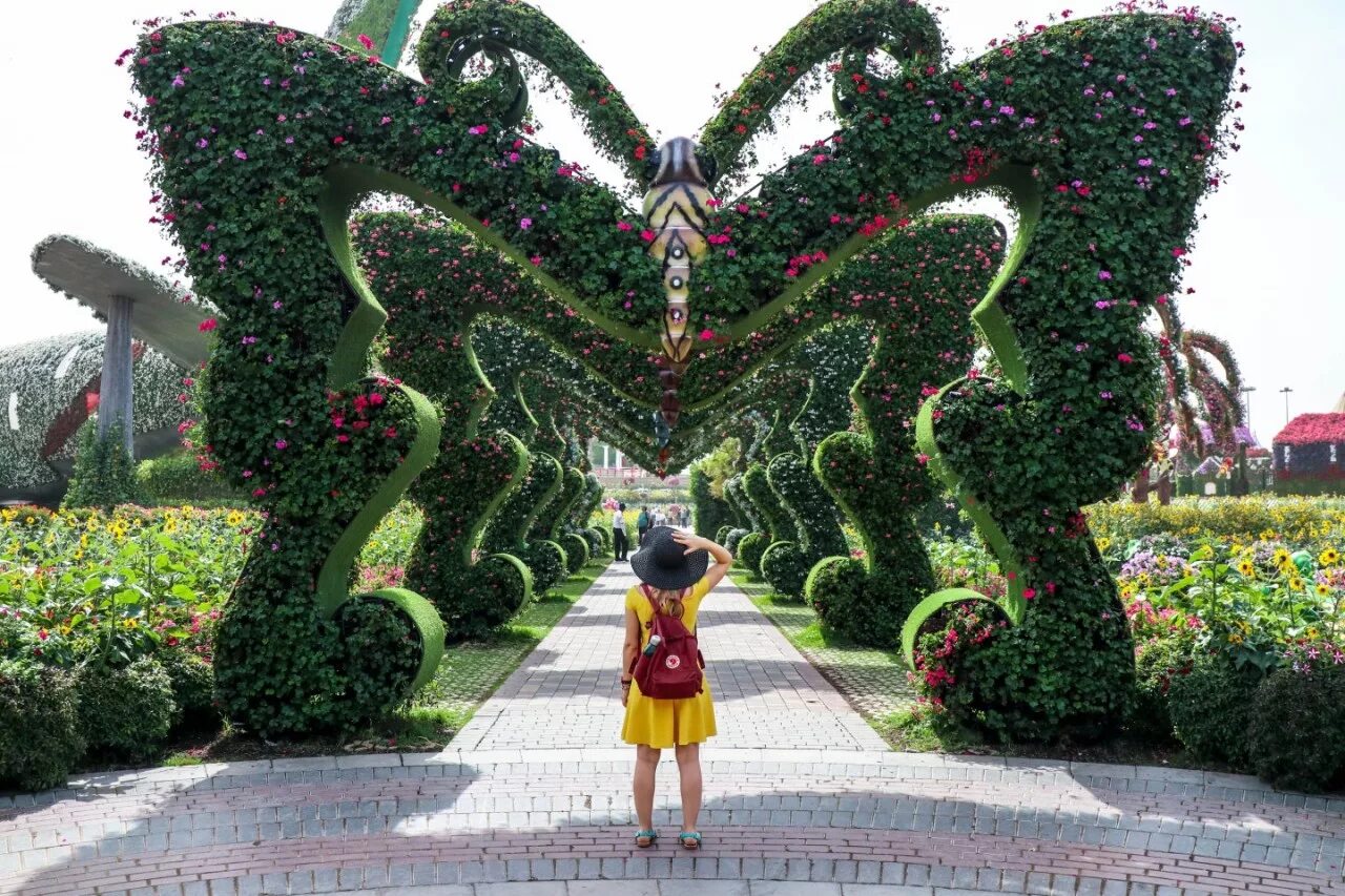 Самый большой парк. Парк «сад чудес» в Дубае, ОАЭ.. Сад чудес Dubai Miracle Garden. Сад в Дубае Миракл Гарден. Сад цветов Miracle Garden Дубай.