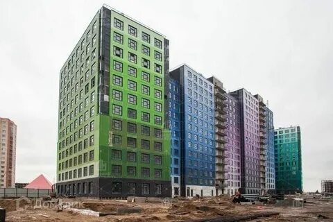 Ромашка мурино