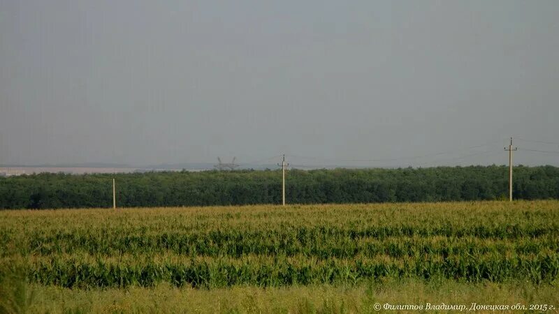 Прогноз погоды в стаханове. Погода. Синоптик заречный. Синоптик краснодар. Погода в заречном.