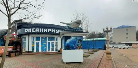 Океанариум архипо осиповка