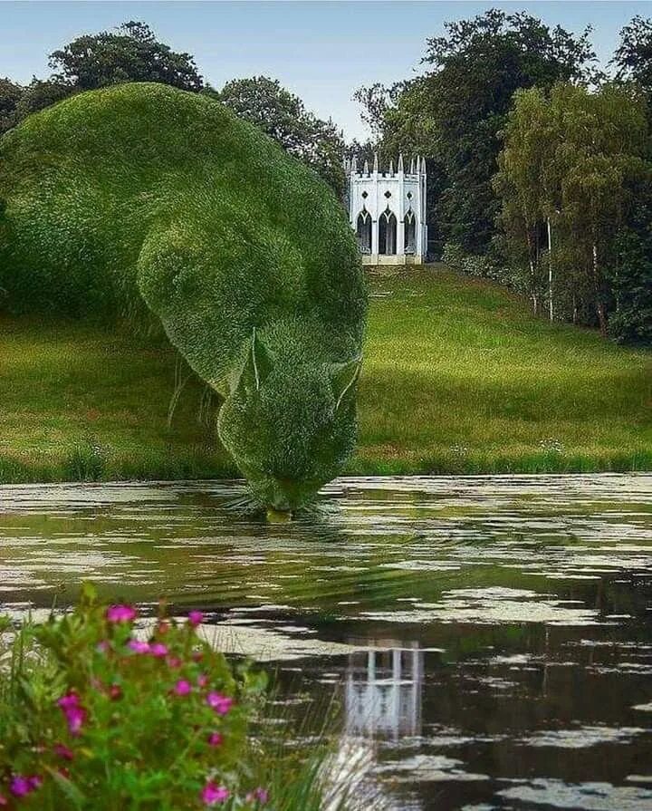 Удивительные изображение. Удивительные изображение