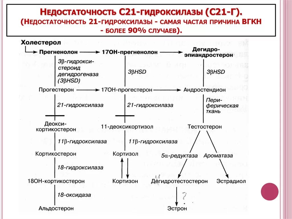 Классификация острой надпочечниковой недостаточности. Недостаточность надпочечников. Острая надпочечниковая недостаточность (аддисонический криз). Гиперфункция надпочечников болезни. Надпочечники этиология.