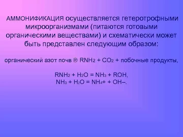 Реакция аммонификации. Процесс аммонификации. Аммонификация мочевины. Аммонификация белков. Аммонификация