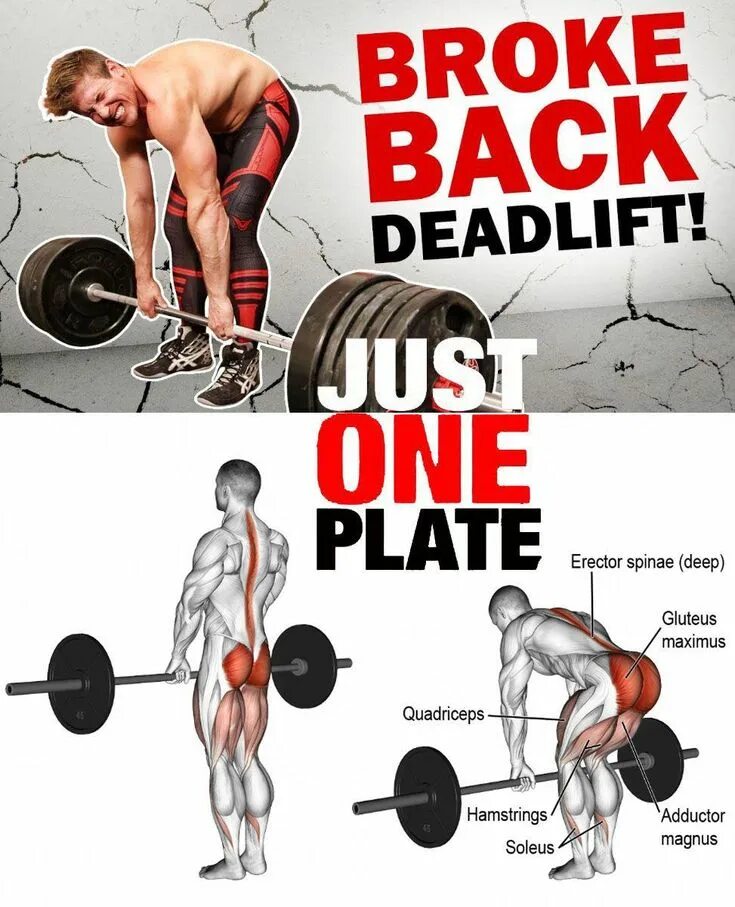 Back broke
