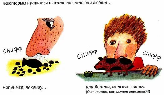 Нравится нюхать. Люблю нюхать. свинка нюхает рисунок. нравится нюхать краску.