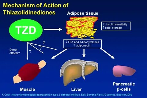 Mechanism of action
