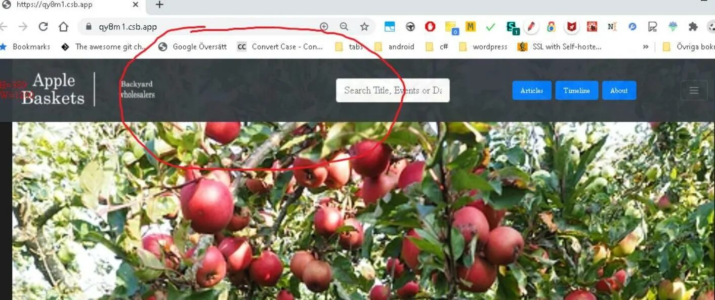 React navbar. Bootstrap navbar. react bootstrap. navbar bootstrap 5. react js и react bootstrap картинки.