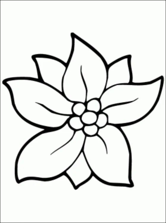 Картинки легких цветов. Цветы для срисовки. Цветы для срисовки лёгкие. Картинки легких цветов. Цветы рисунки цветные.