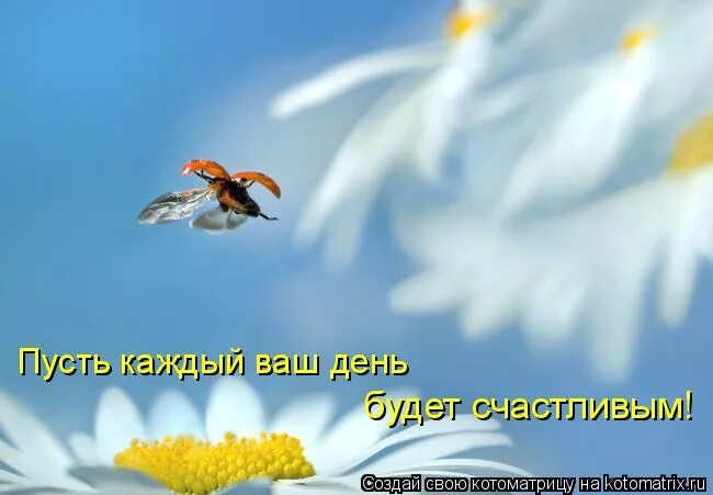 Пусть твое сегодня будет самым счастливым. Радости в новом дне открытка. Счастливых дней и приятных событий. Открытки будьте счастливы. Пусть будет просто хороший день.