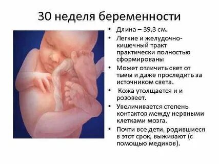 28 неделя вес