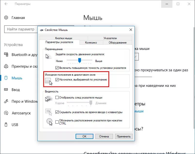 Кнопка диалогового окна. Вид мышки курсора на экране. Параметры мыши. Диалоговое окно настройки мыши. Почему при нажатии выделяется