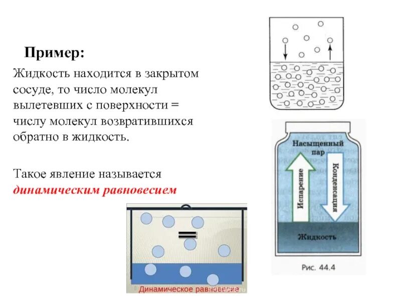 Динамическое равновесие со своей жидкостью. Испарение в закрытом сосуде. Жидкости примеры. Испарение жидкости в закрытом сосуде. Насыщенный пар в сосуде.