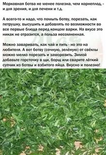 Применение морковной ботвы в народной медицине