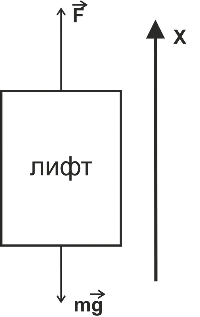 Лифт массой 900 кг закрепленный на тросе. Лифт массой 900 кг закрепленный на тросе. Вес поднимается вверх с ускорением. Пример первой задачи динамики. Лифт массой 900 кг закрепленный на тросе.