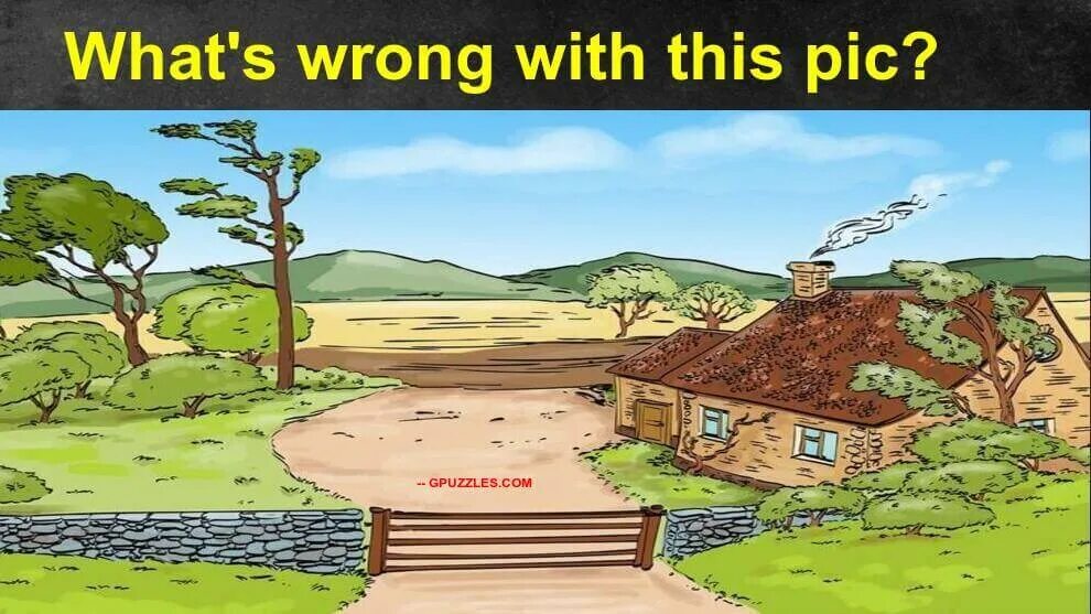 What is wrong in the picture. What is wrong in the picture