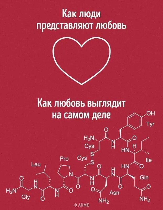 Как будет выглядеть моя любовь Shaman поцеловал Мизулину Газета.Ru Новости