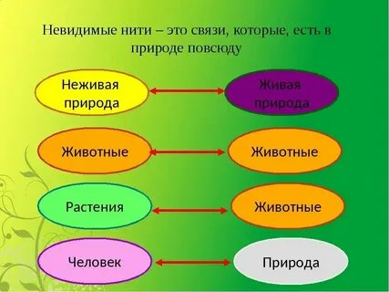 Невидимые нити тест 2 класс окружающий мир
