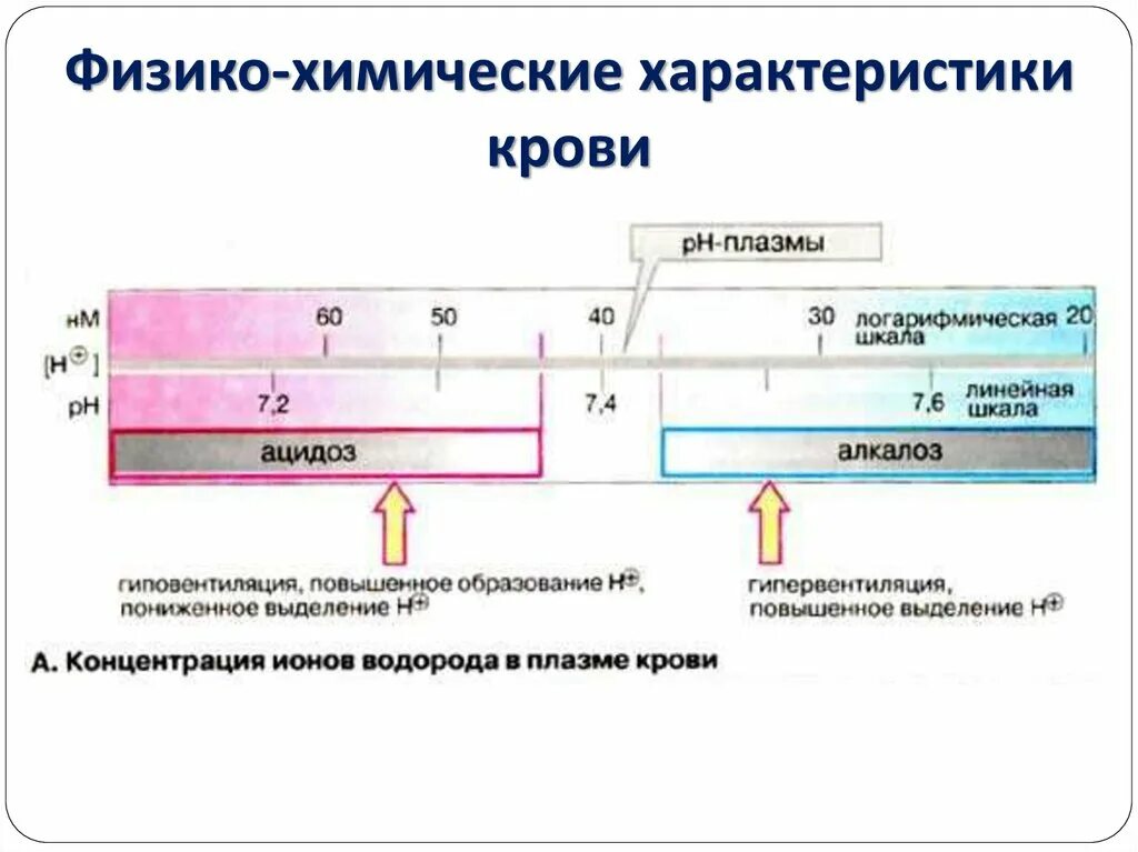 Изменение физико-химических свойств крови. Физико-химические параметры плазмы крови. Показатели физико-химических свойств крови таблица. Изменение физико-химических свойств крови патофизиология. Изменение свойств крови