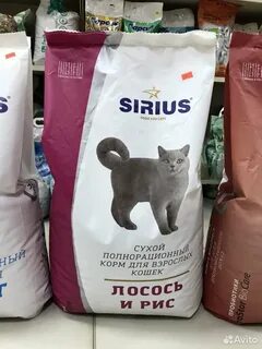 Сириус кг